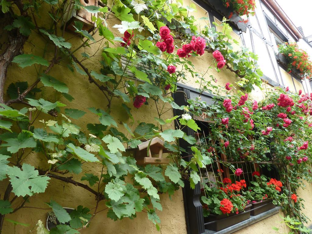 Alte Weinstuben Steinfelder Hof Garni Acomodação com café da manhã Ellenz-Poltersdorf Exterior foto